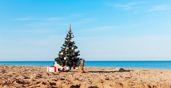 why-an-all-inclusive-hawaii-vacation-package-is-the-ultimate-christmas-gift-mid-content-3